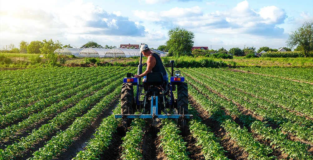 A agricultura como área de trabalho
